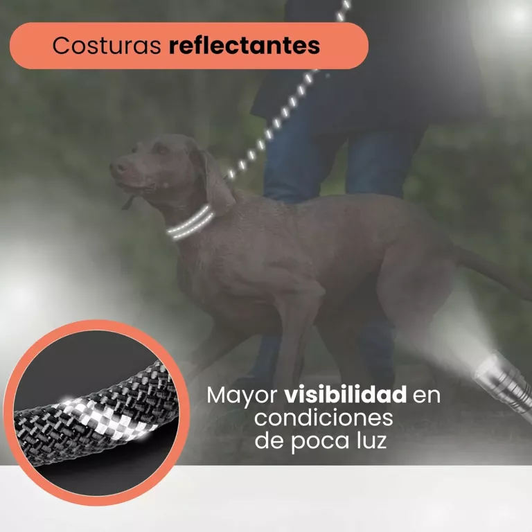 zestaw-dla-psa-odblaskowa-obroza-i-smycz-miska-dyspenser-na-worki-rozmiar-209070-237626