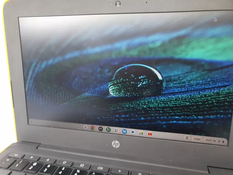 laptop-hp-chromebook-11-g5-ee-116-intel-celeron-2-gb-16-gb-rozdzielczosc-px-4474-211453