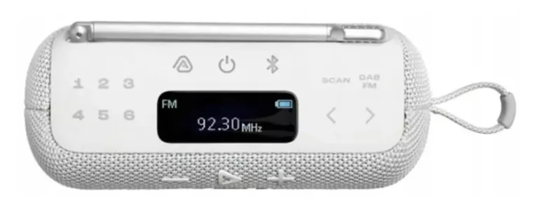 JBL TUNER 3 BIAŁY /GŁOŚNIK PRZENOŚNY /RADIO DAB I FM/ DEALER 1200130024054