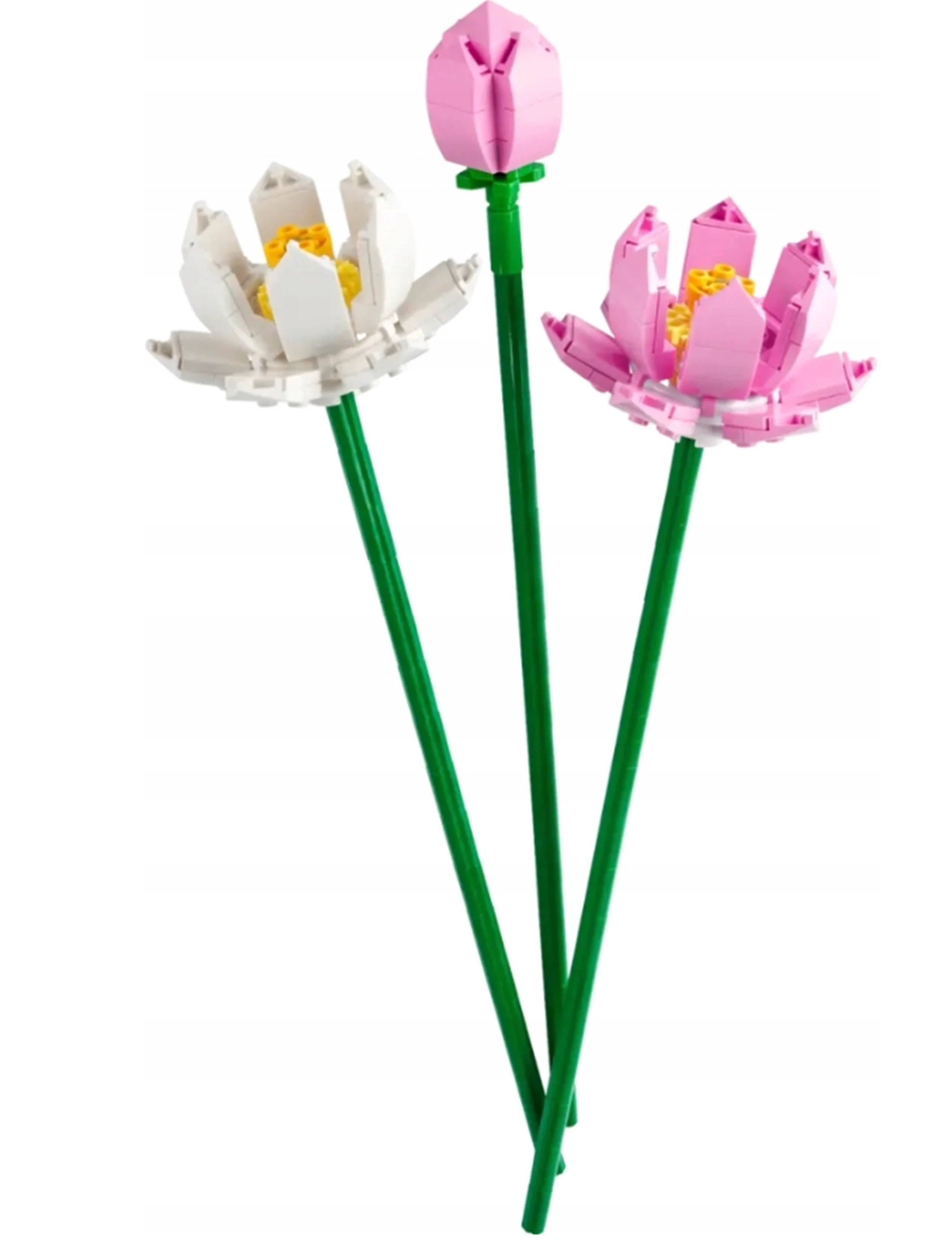 lego-botanicals-40647-kwiaty-lotosu-uszkodzone-pudelko-stan-11323-238058