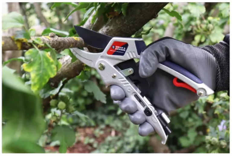 sekator-zapadkowy-spear-jackson-2-w-1-25-mm-kod-producenta-spear-jackson