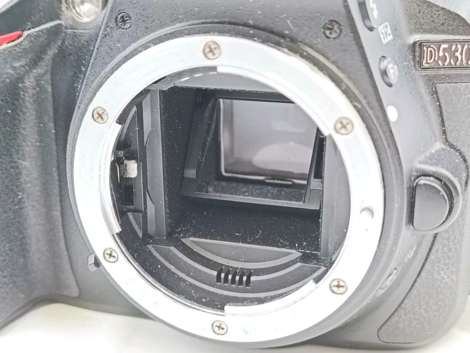 aparat-nikon-d5300-af-p-nikkor-18-55mm-dx-zdjecia-seryjne-500