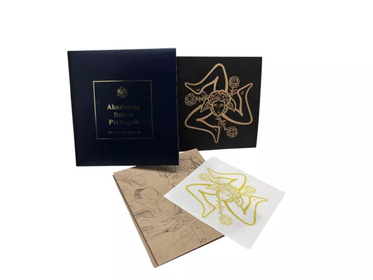 plyta-cd-avi-x-louis-villain-akademia-sztuk-pieknych-krakowska-14-kluczbork-zlotko