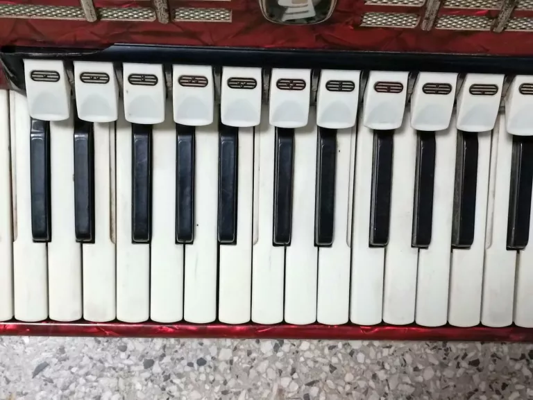 akordeon-weltmeister-diana-120-model-diana