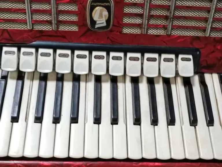 akordeon-weltmeister-diana-120-marka-248811-1968126