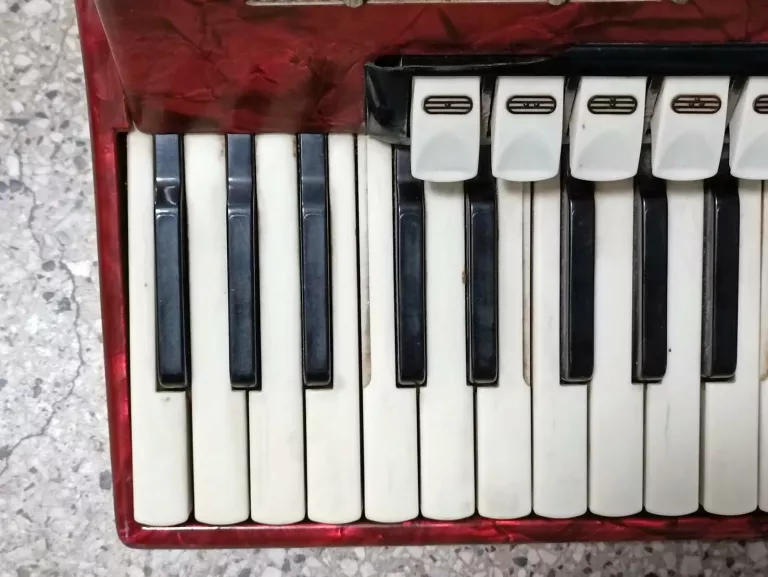 akordeon-weltmeister-diana-120-kod-producenta-diana-120