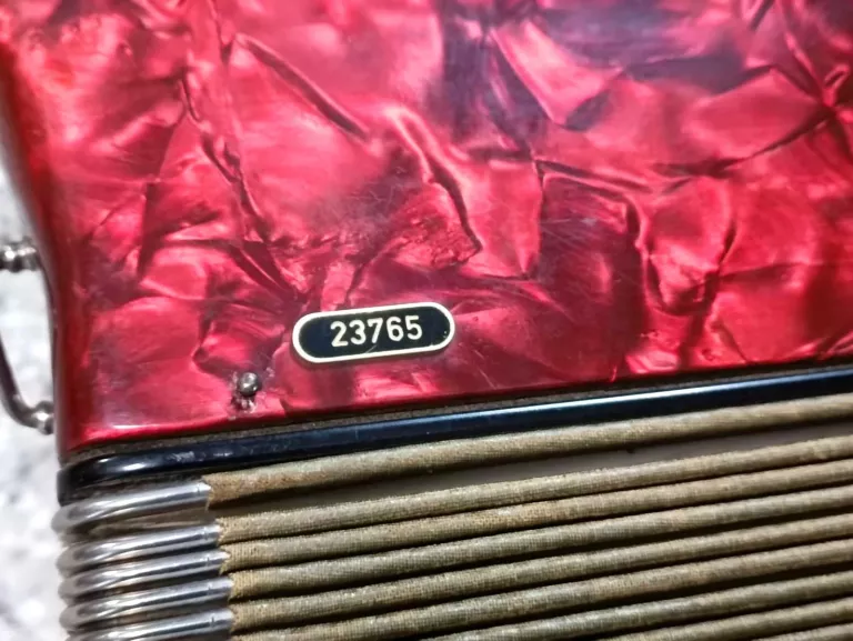 akordeon-weltmeister-diana-120-stan-11323-2