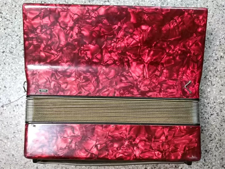 akordeon-weltmeister-diana-120-bronowicka-80-krakow