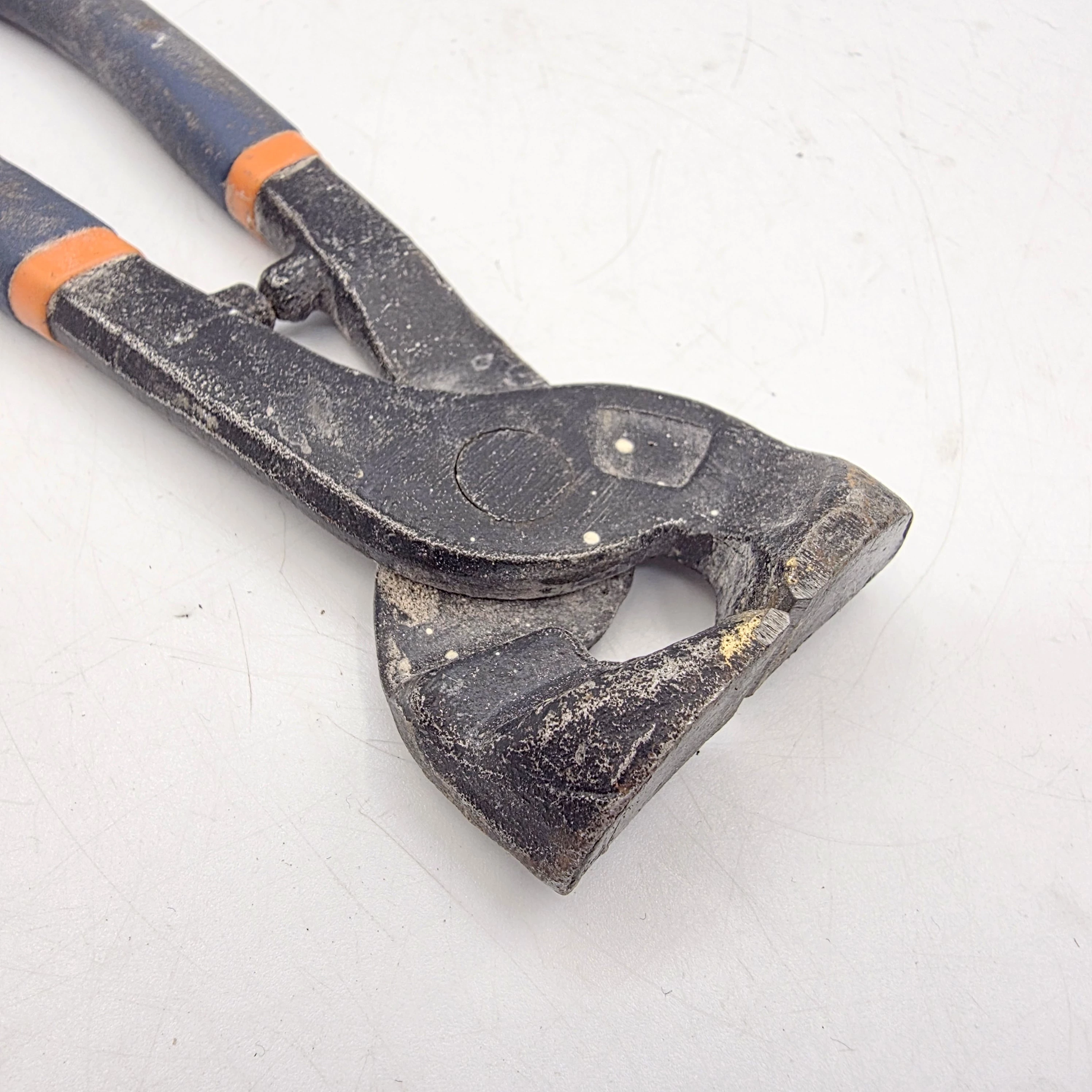 cegi-dexter-ean-gtin-5902270794984