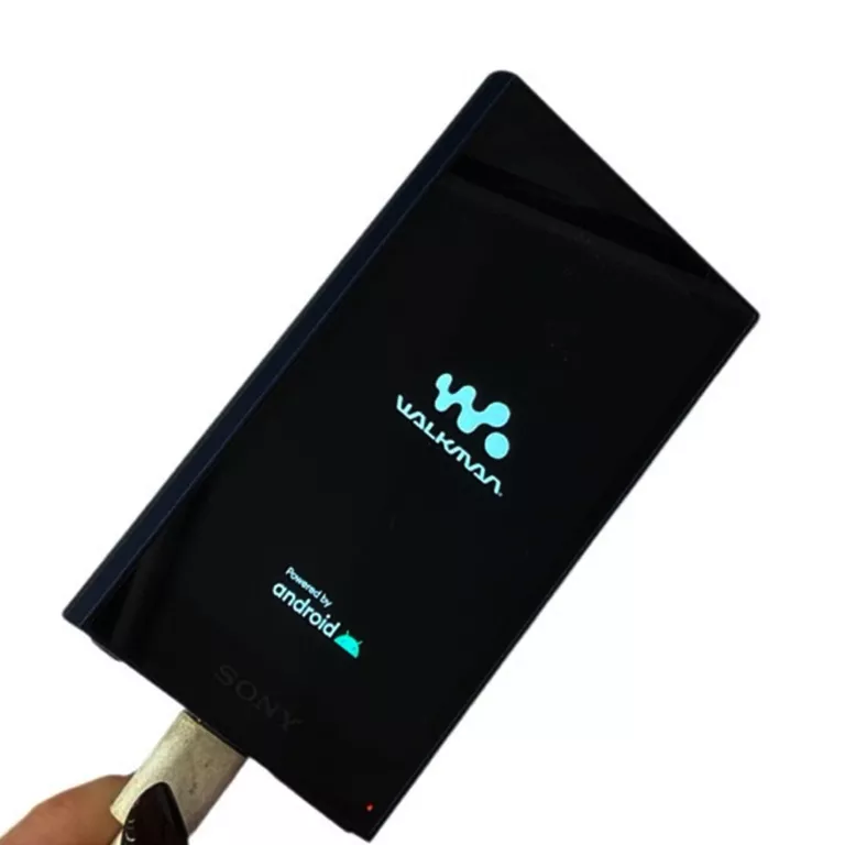 walkman-sony-yy1301b1-nw-a306-model-nwa306b