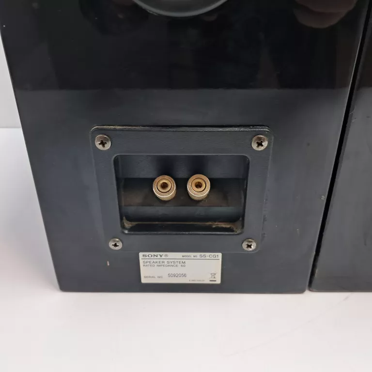 KOLUMNY SONY SS-CG1