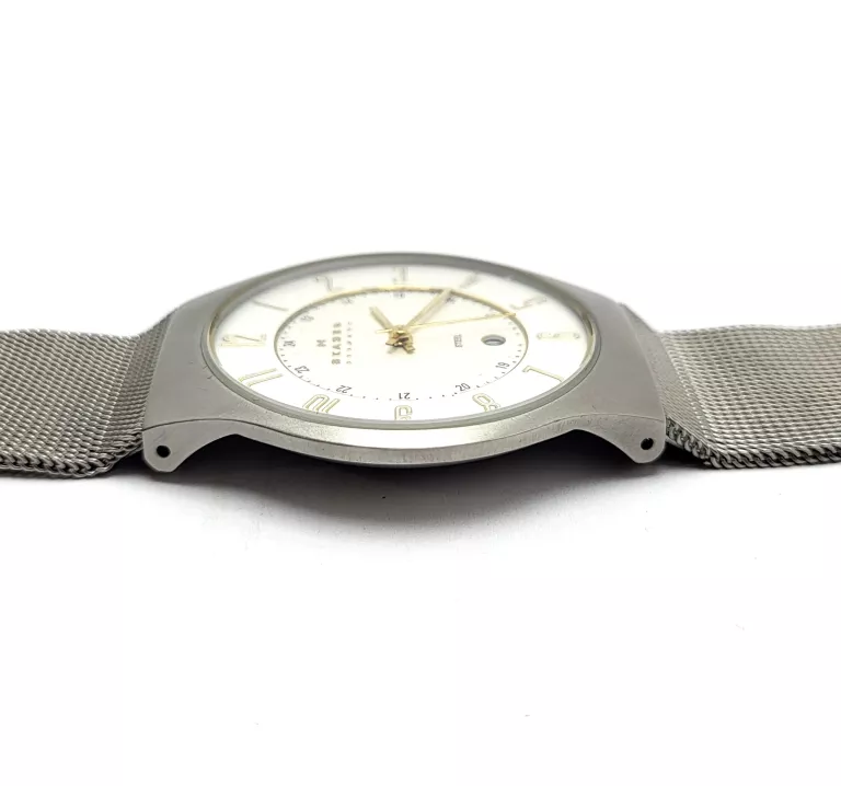 ZEGAREK SKAGEN 233XLSGS