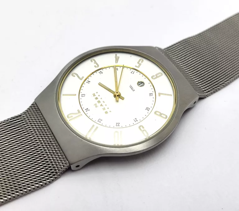 ZEGAREK SKAGEN 233XLSGS