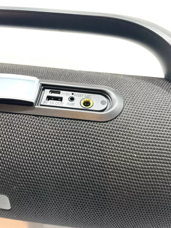 GŁOŚNIK BEZPRZEWODOWY MANTA SPK310