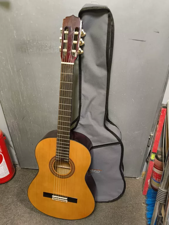GITARA ARIA AK-20