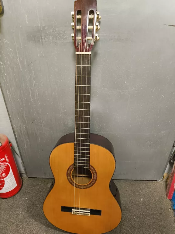 GITARA ARIA AK-20