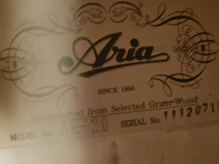 GITARA ARIA AK-20