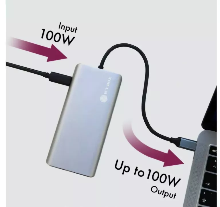 icy-box-ib-dk4070-cpd-stacja-notebook-i-pc-12w1-usb-c-okazja-najtaniej-waga-produktu-z-opakowaniem-jednostkowym-0170
