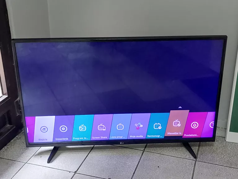 TELEWIZOR LG 49LH570V