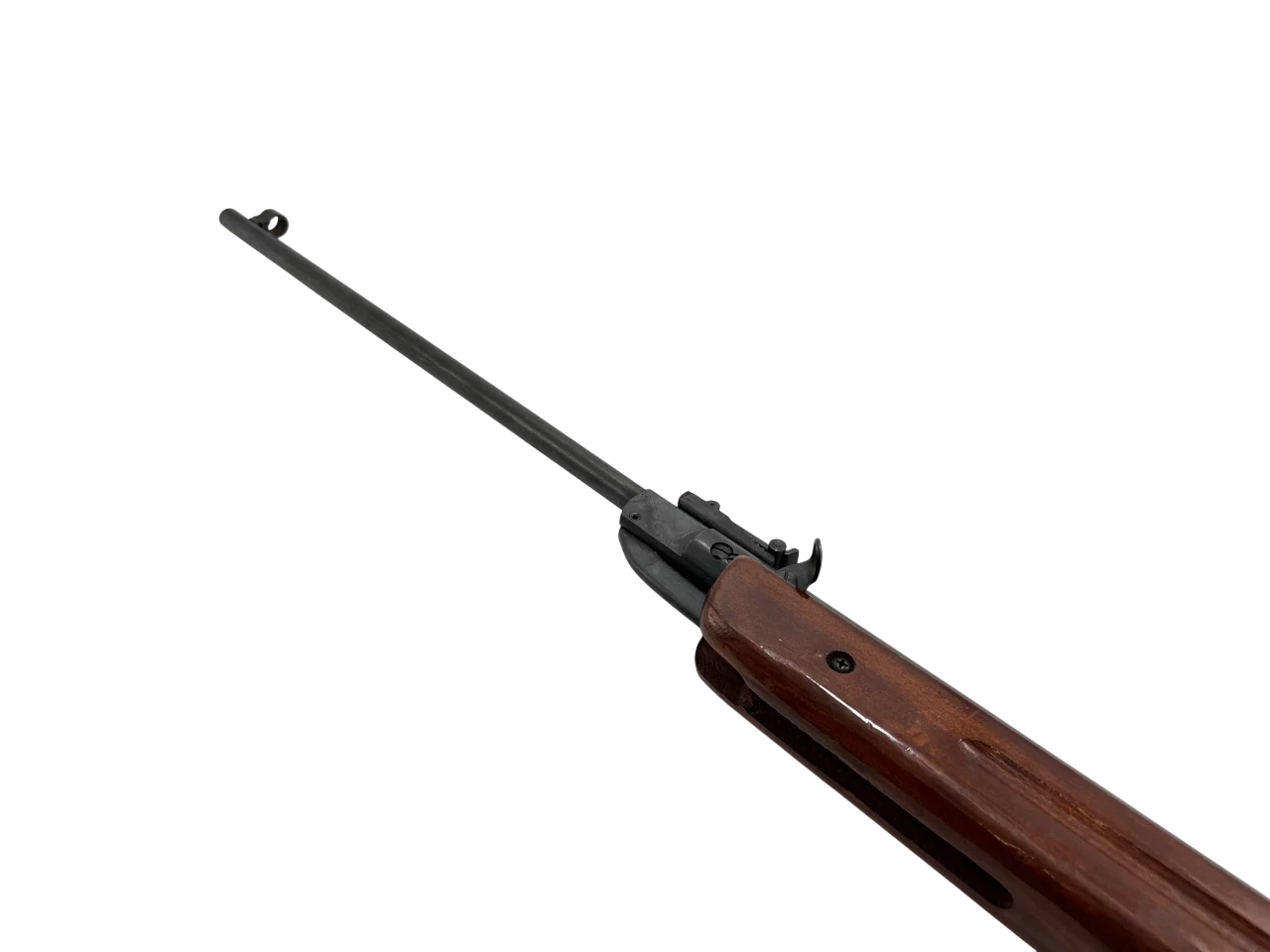 sd