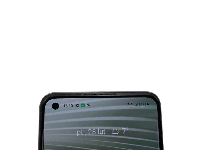 TELEFON REALME GT 2 5G RMX3311 12/256GB 6,62" 50MPIX 5000MAH