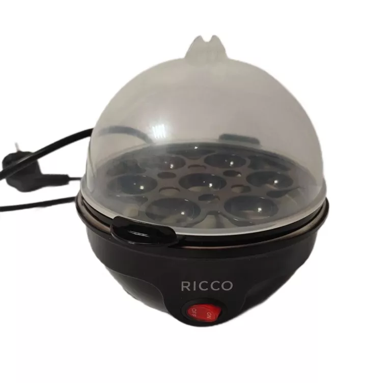 JAJOWAR RICCO EB2042A-GS