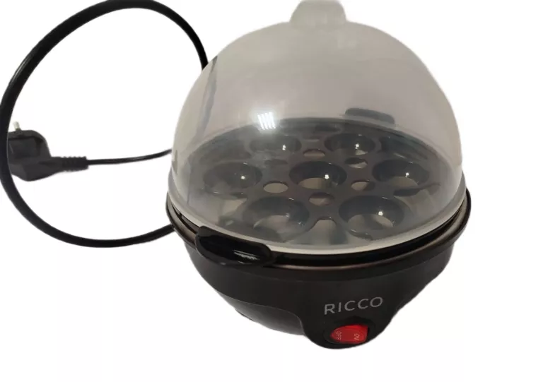 JAJOWAR RICCO EB2042A-GS