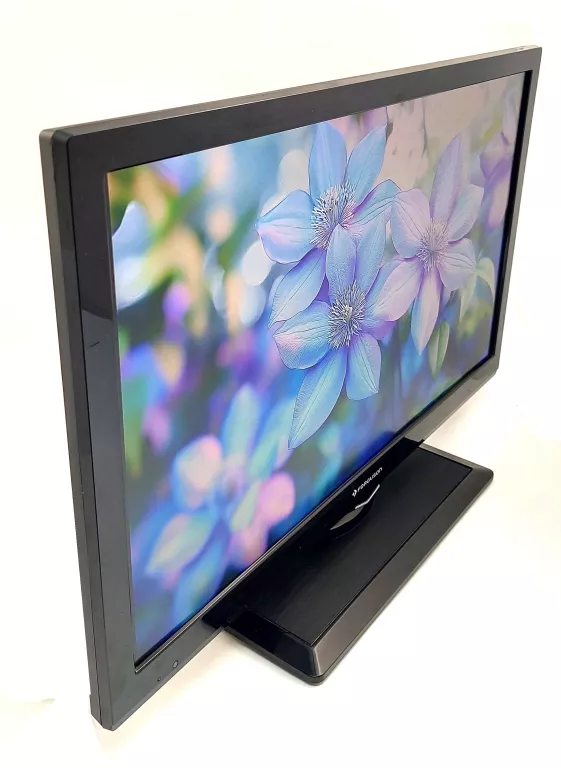 TELEWIZOR FERGUSON 22" V22FHD273 FULL HD 12V Z PILOTEM