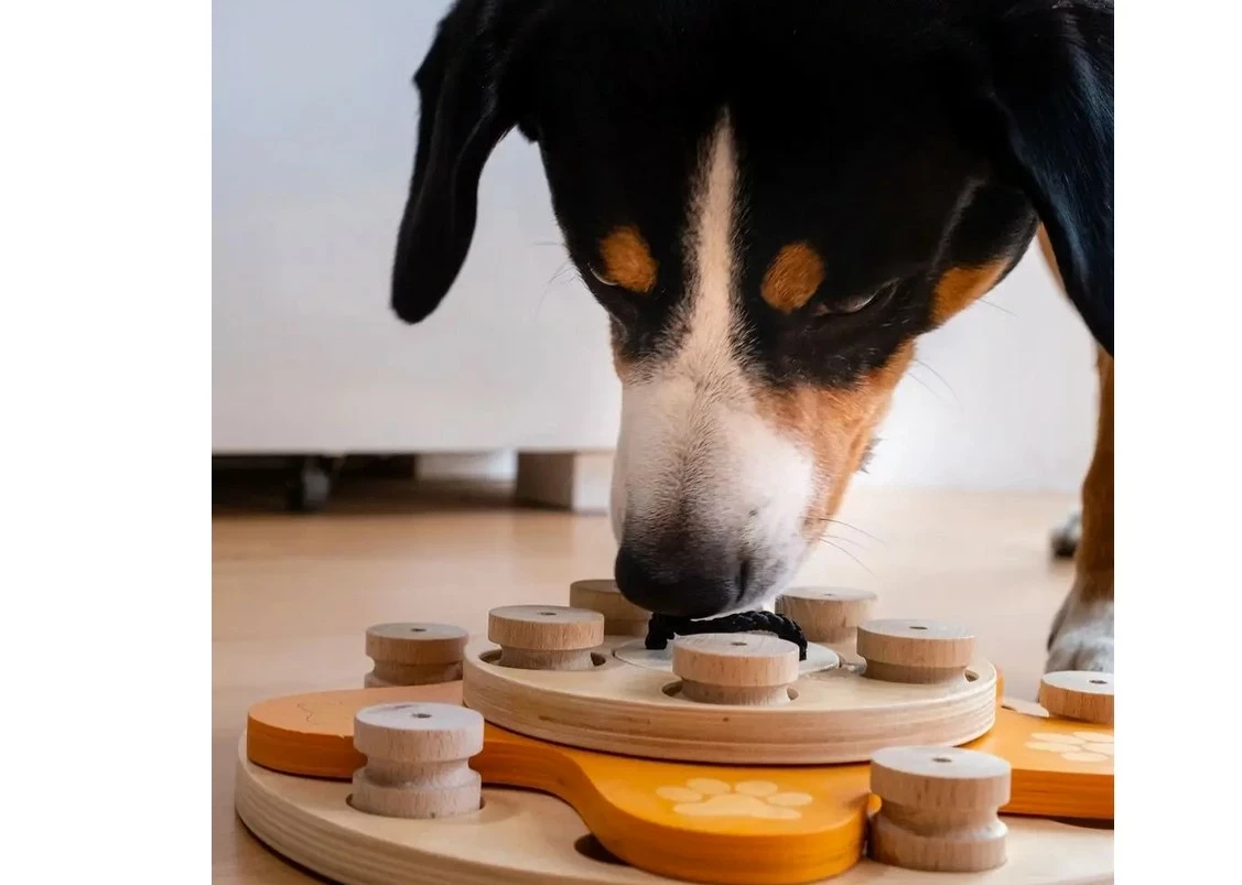 my-intelligent-dogs-interaktywna-zabawka-dla-psa-kwiatek-wyszynskiego-24-tczew