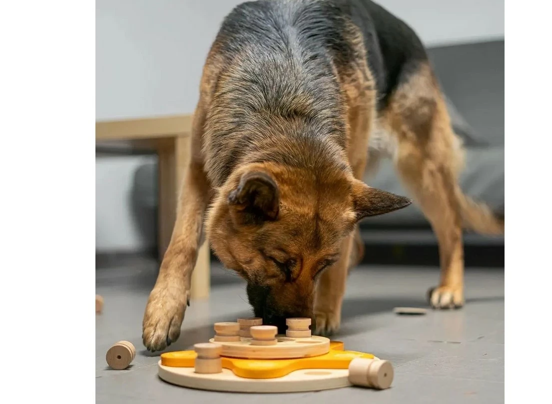 my-intelligent-dogs-interaktywna-zabawka-dla-psa-kwiatek-kod-producenta-floral