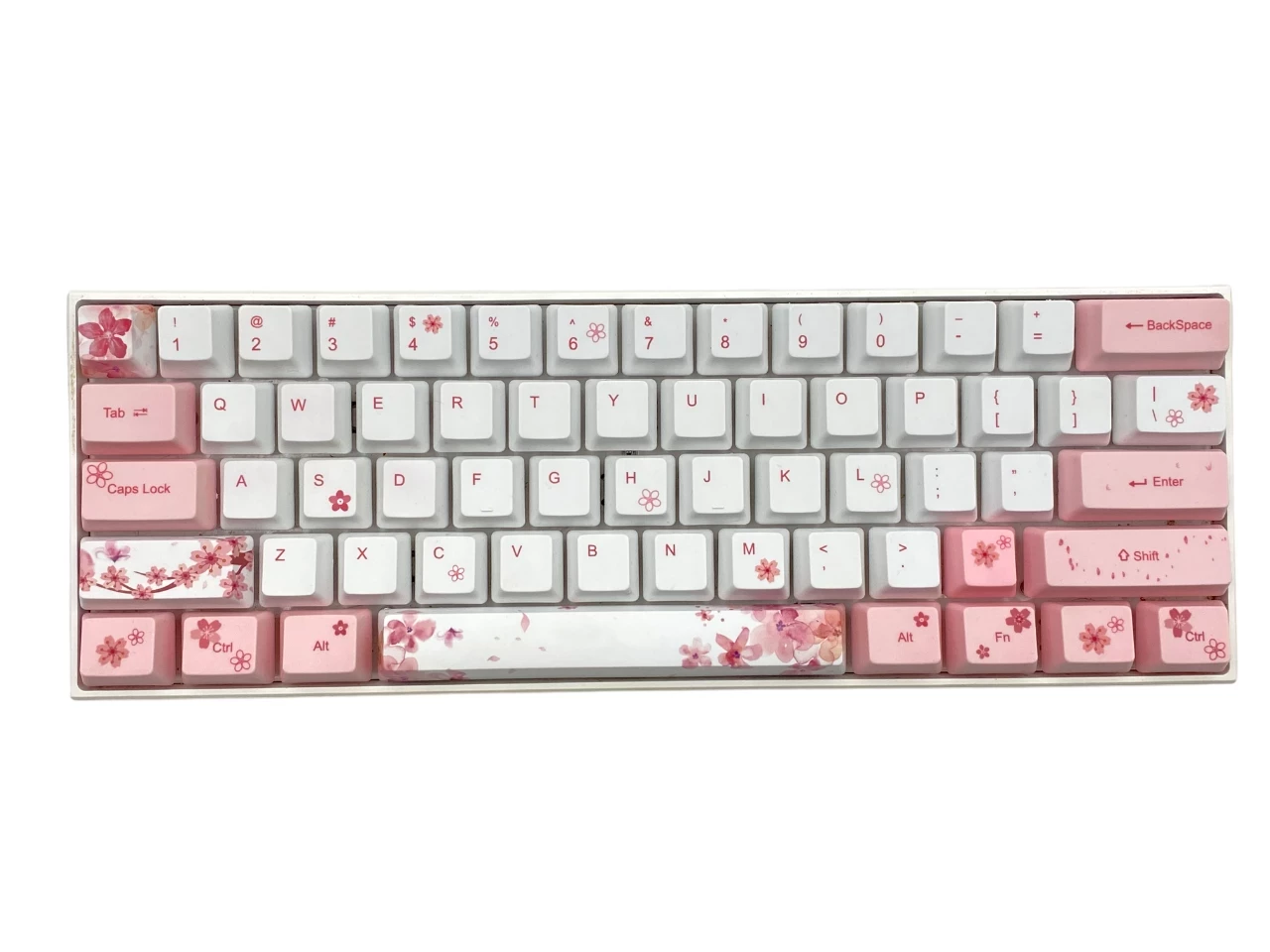 sd