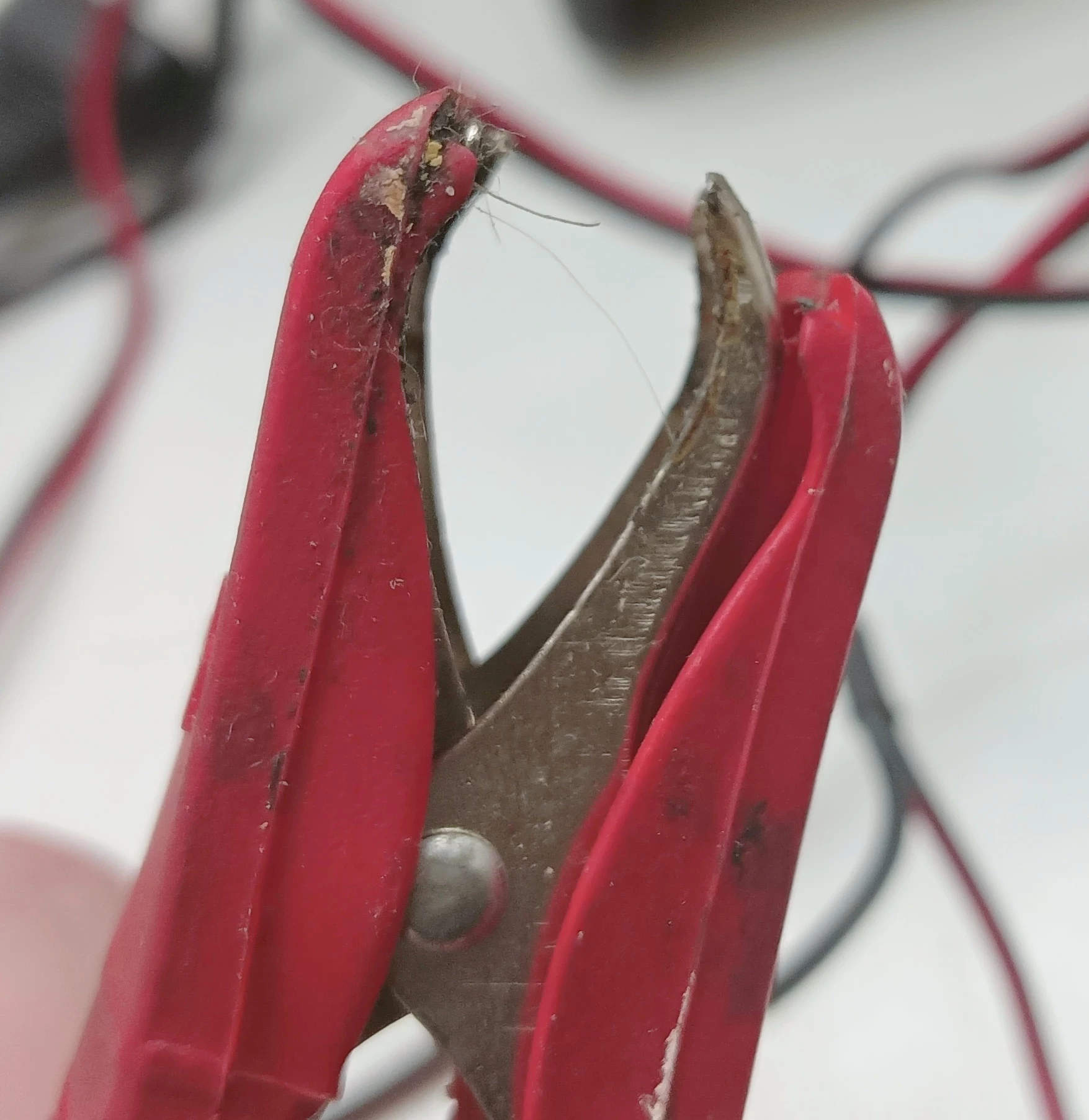 prostownik-carcommerce-hb-1204-gs-12v-4a-stan-11323-2