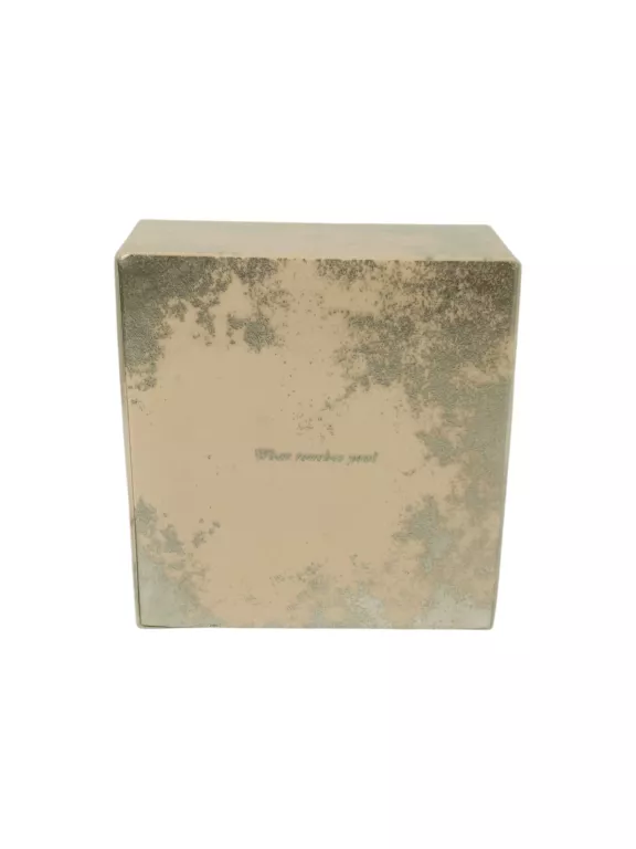 WODA TOALETOWA DAMSKA TOUS THE LUMINOUS GOLD 100 ML