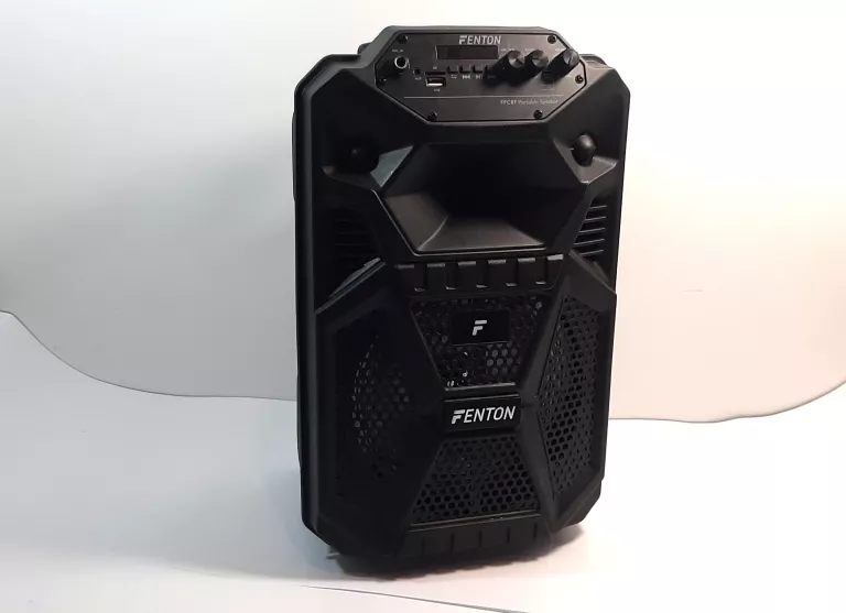 KOLUMNA MOBILNA 100W LED FPC8T MIKROFON