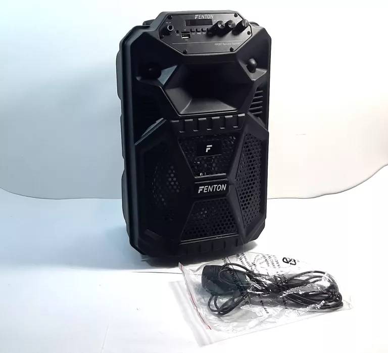 KOLUMNA MOBILNA 100W LED FPC8T MIKROFON