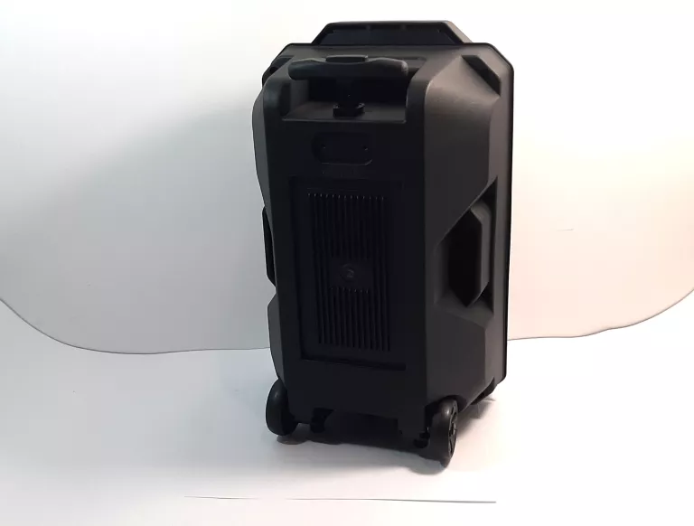 KOLUMNA MOBILNA 100W LED FPC8T MIKROFON