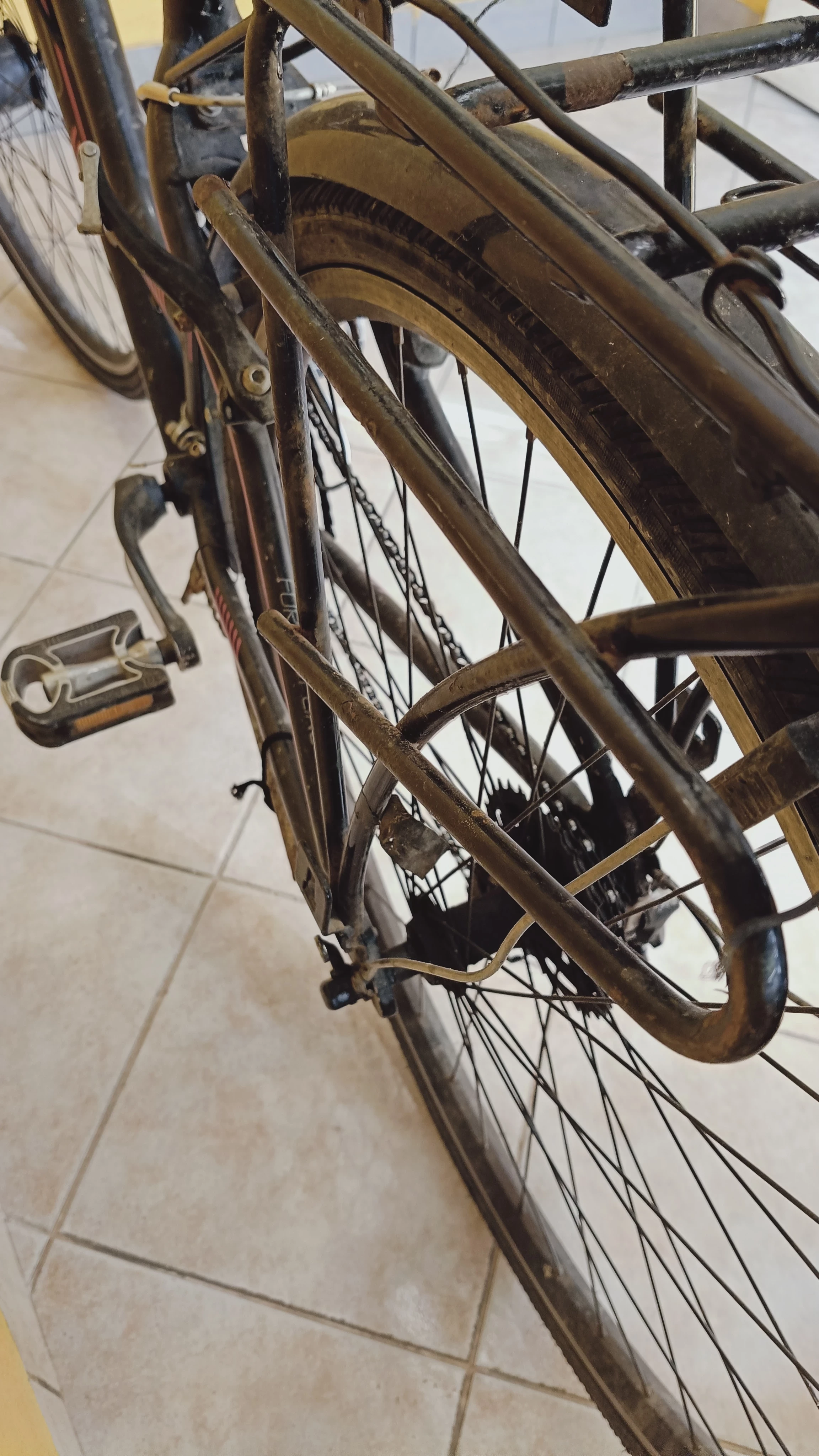 rower-indiana-x-road-30-plec-130411-2