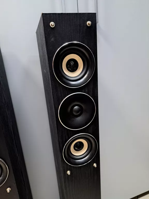 KOLUMNY GŁOŚNIKOWE AEG LB 4710