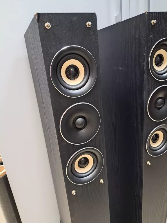 kolumny-glosnikowe-aeg-lb-4710-rodzaj-208074-235234