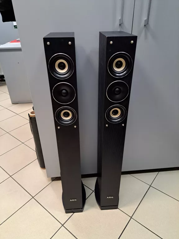 KOLUMNY GŁOŚNIKOWE AEG LB 4710