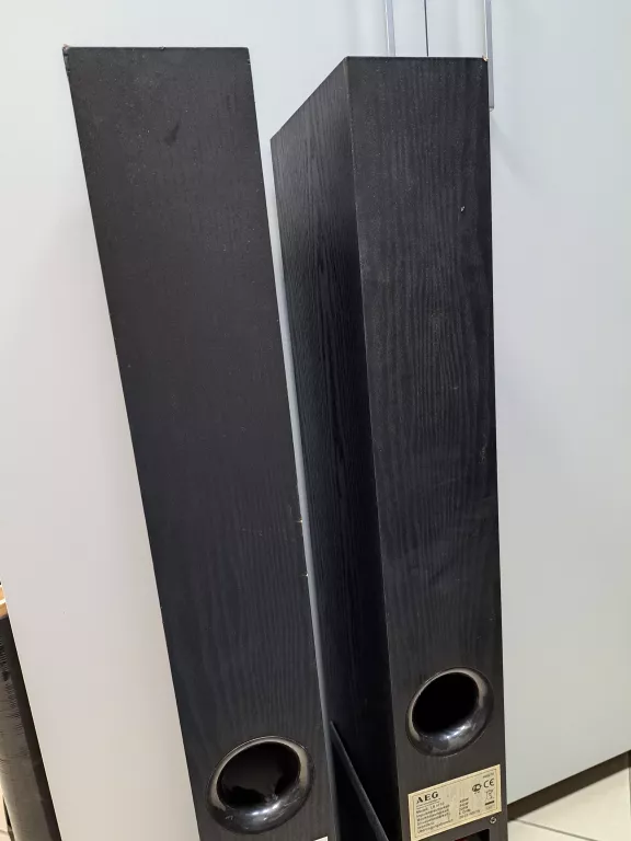 KOLUMNY GŁOŚNIKOWE AEG LB 4710