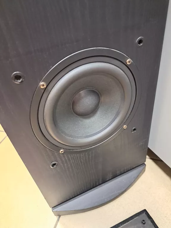 KOLUMNY GŁOŚNIKOWE AEG LB 4710