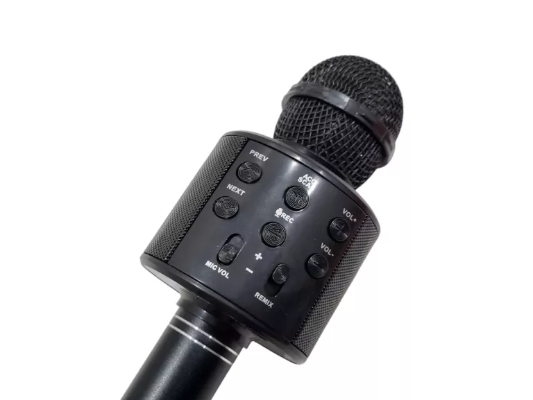 MIKROFON KARAOKE FOREVER BMS-300 3W
