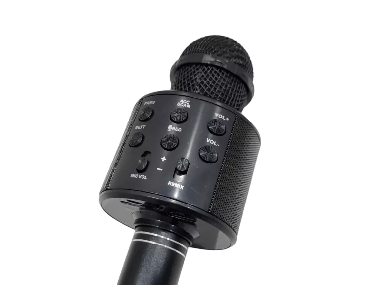 MIKROFON KARAOKE FOREVER BMS-300 3W