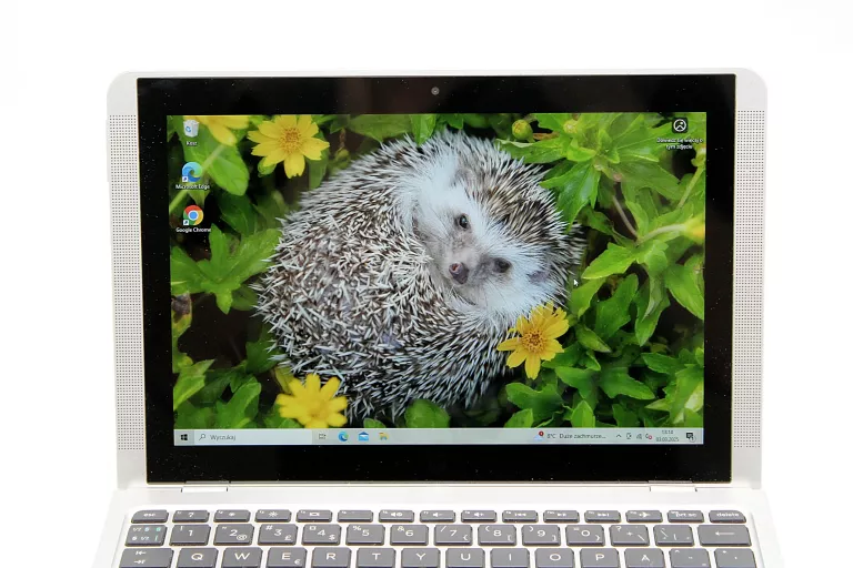 laptop-hp-x2-210-g2-intel-atom-x5-z8350-464gb-przekatna-ekranu-1010