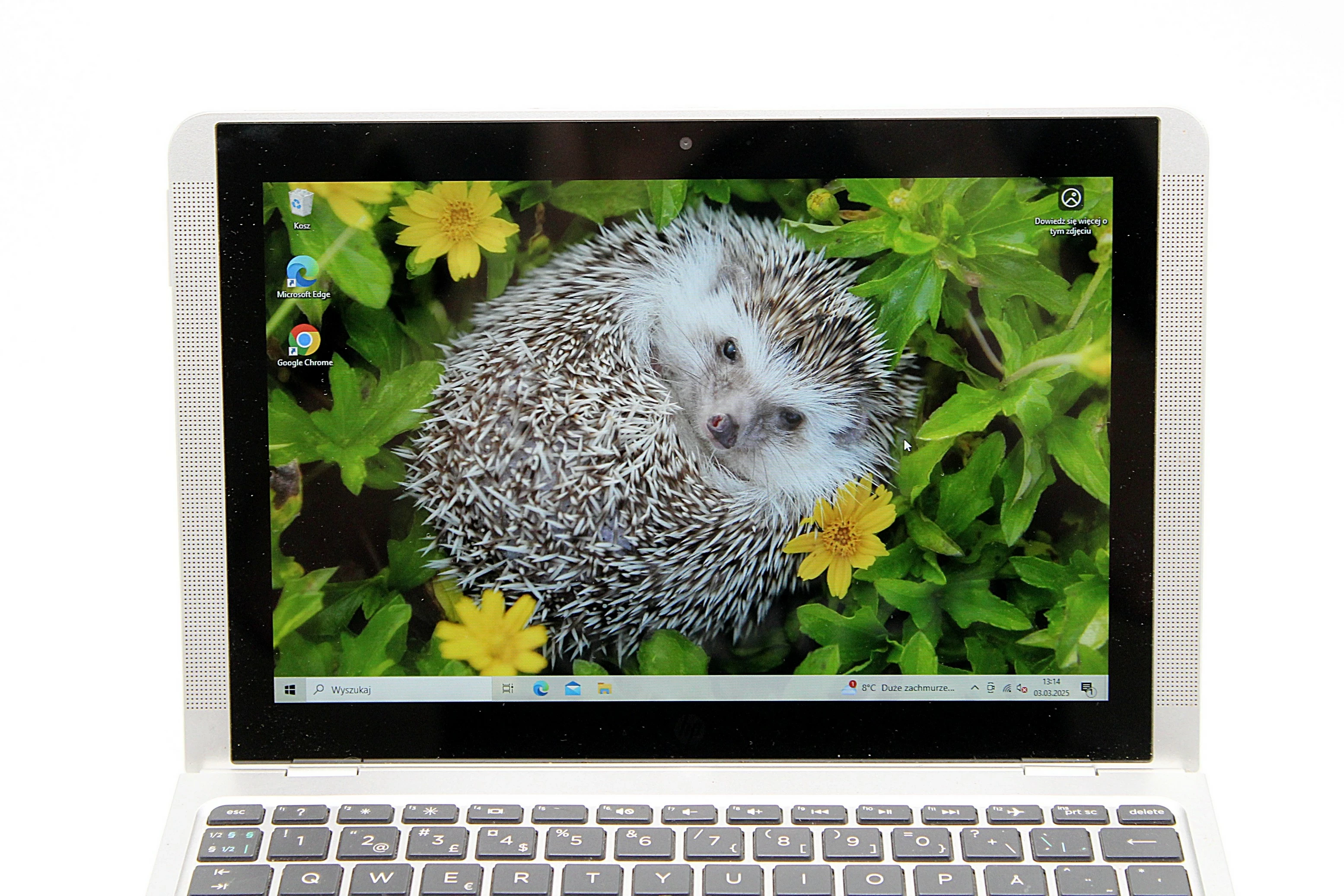 laptop-hp-x2-210-g2-intel-atom-x5-z8350-464gb-przekatna-ekranu-1010