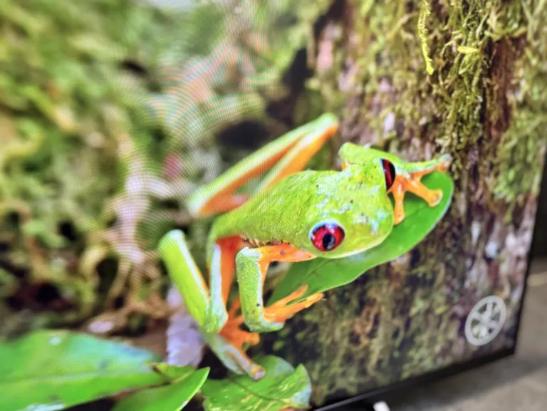 TELEWIZOR SONY KD49XE7005BAEP 49" LED 4K