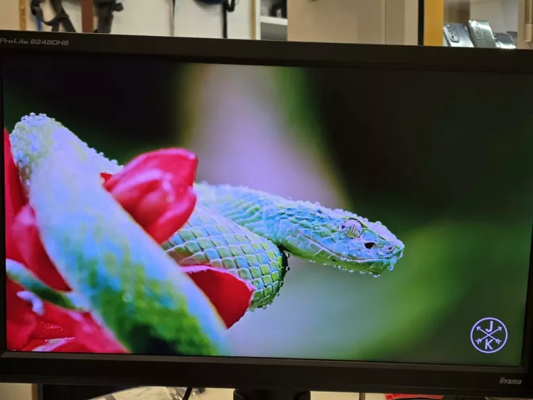 MONITOR IIYAMA PROLITE B2480HS-B1 23,6" PIVOT FULL HD
