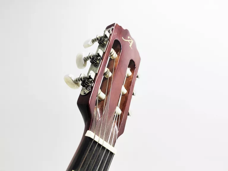 GITARA KLASYCZNA ALVERA ACG 100