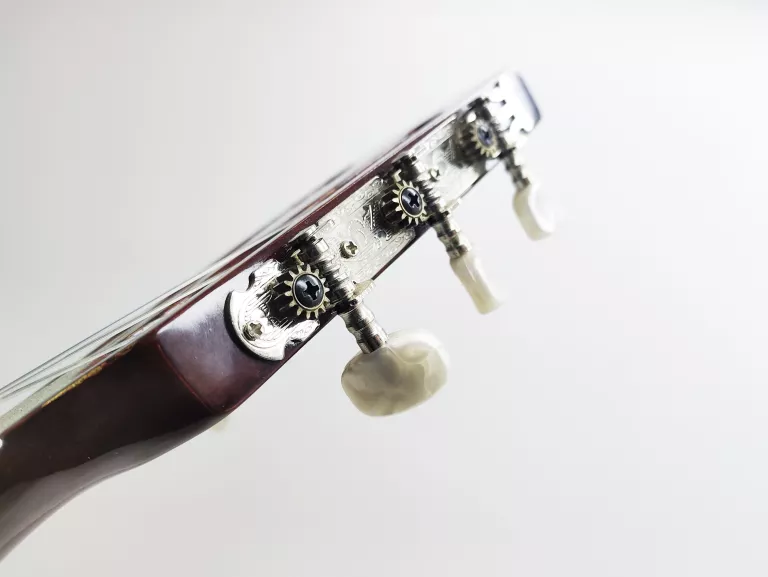 GITARA KLASYCZNA ALVERA ACG 100